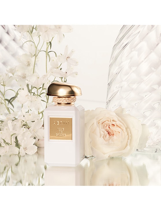 aerin rosé de grasse parfym