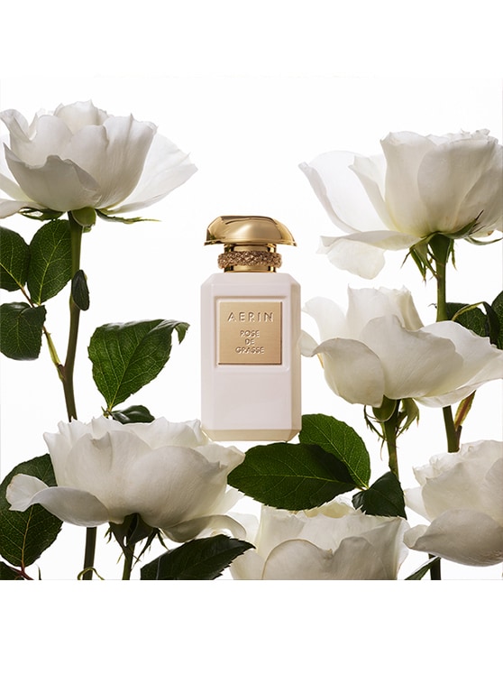 aerin rosé de grasse parfym